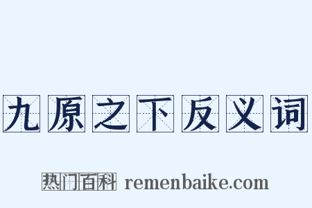九原之下反义词是什么意思的图片